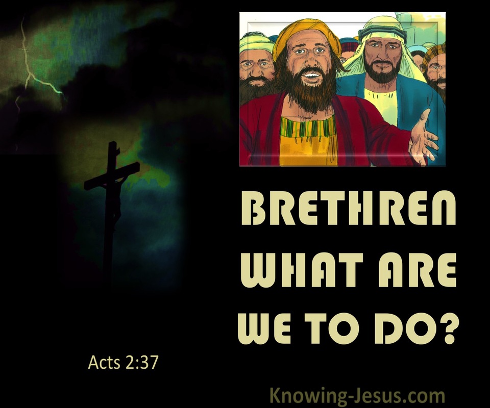 Acts 2:37 Brethren What Are We To Do (yellow)